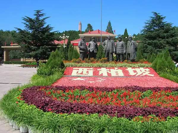 西柏坡培训基地