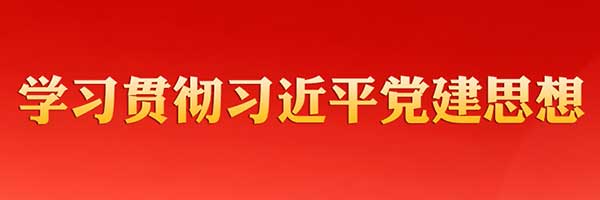 坚持以习近平党建思想为指引 奋力推进新时代党的建设新的伟大工程