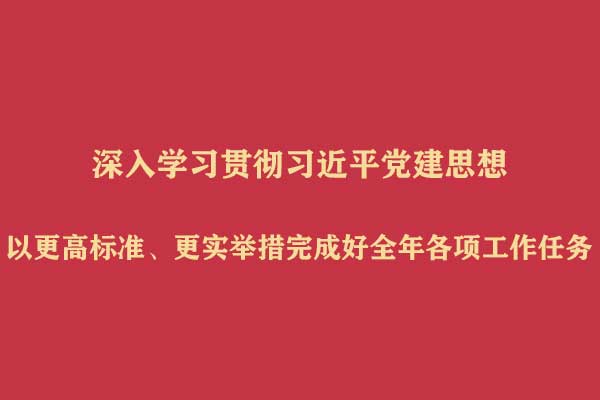 深入学习贯彻习近平党建思想 以更高标准、更实举措完成好全年各项工作任务
