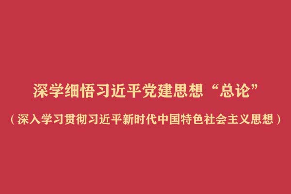 深学细悟习近平党建思想“总论”(深入学习贯彻习近平新时代中国特色社会主义思想)