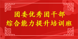 团委优秀团干部综合能力提升培训班