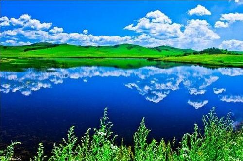 塞罕坝现场教学